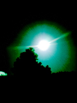 CIMG0111.JPG
